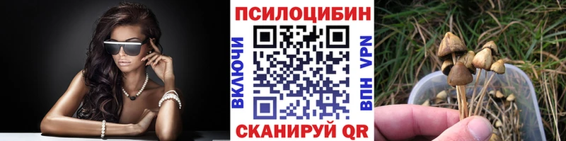 где найти наркотики Болохово Псилоцибиновые грибы Psilocybine cubensis